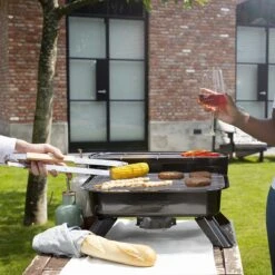 Princess 112252 Hybride Barbecue – Elektrische BBQ - Tafelmodel - 2000W - 44x 29cm - Gebruik Elektrisch Of Met Kolen -Barbecues Winkel 1200x1200 539