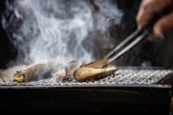 YAKINIKU Rechthoekige Shichirin | Konro- & Yakitori Grill -Barbecues Winkel 1200x800 50