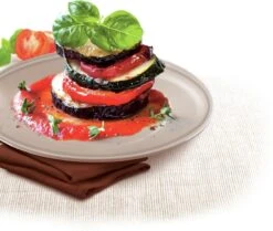 Tefal Success Ovenware Ovenschotel - 20 X 26 Cm -Barbecues Winkel 1200x1014